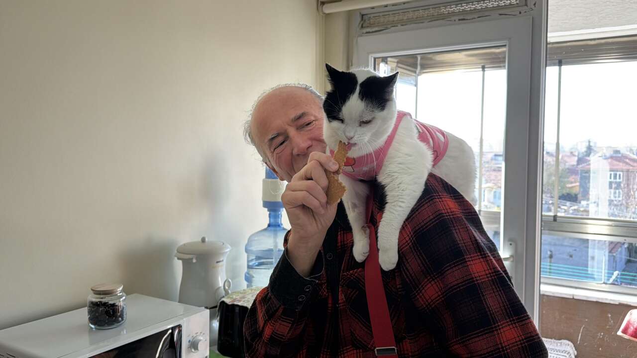 Omzundaki kediyle 65 şehir gezdi! Konya rotasından sonra şimdi Selanik’i hedefliyor 10